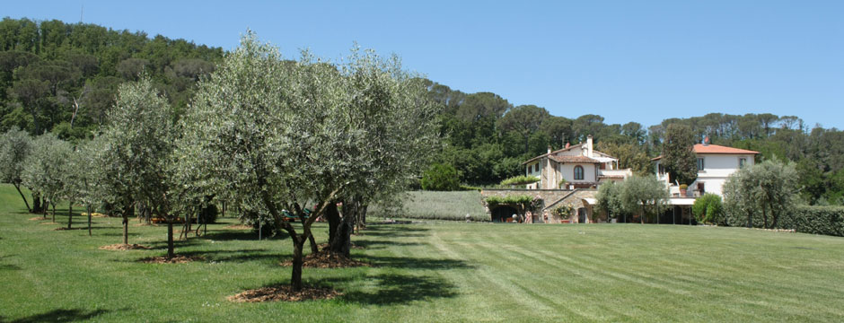 giardino